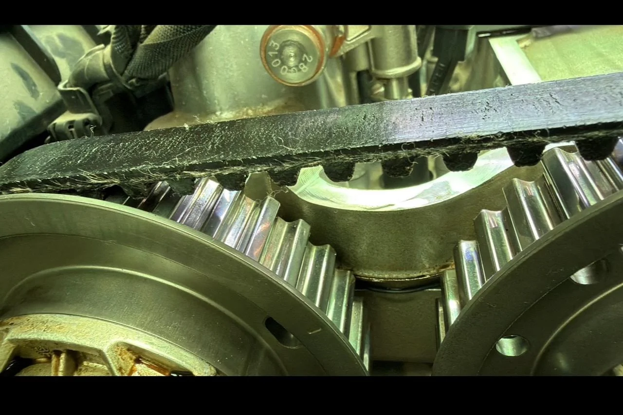 Drautomotriz Correa Distribucion Engranaje Motor Desgaste